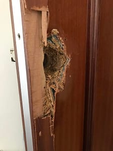 bombillo antibumping bombillo antibumping